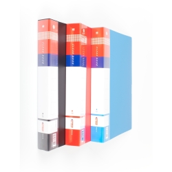 Bigpoint BP205 Sunum Dosyası 60 Poşetli - 2