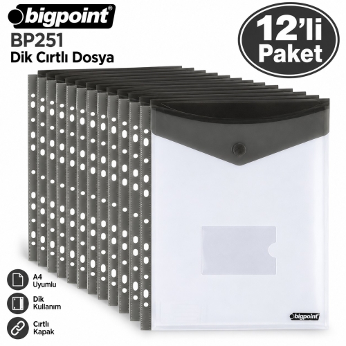 Bigpoint BP251 Dik Cırtlı Dosya Mavi (12 li Paket) - 3