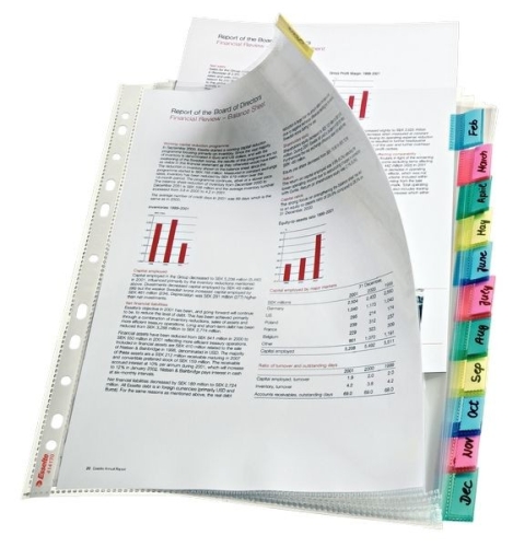 Esselte 414170 Ayraçlı Poşet Dosya (12 Sayfa) - 1