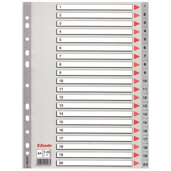Esselte Seperatör 1-20 Rakamlı (ayraç)