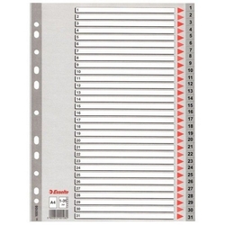 Esselte Seperatör 1-31 Rakamlı (Ayraç) 