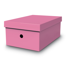 Mas 8226 Pembe Büyük Boy Çok Amaçlı Saklama Kutusu