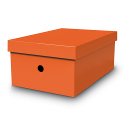 Mas 8226 Turuncu Büyük Boy Çok Amaçlı Saklama Kutusu