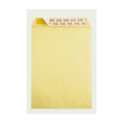 Torba Zarf 30x40cm Formula 100gr (50 li Paket)