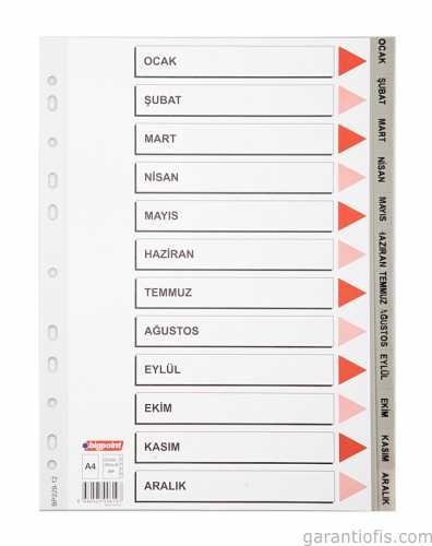 BigPoint Ocak-Aralık Seperatör (Aylar) - 1